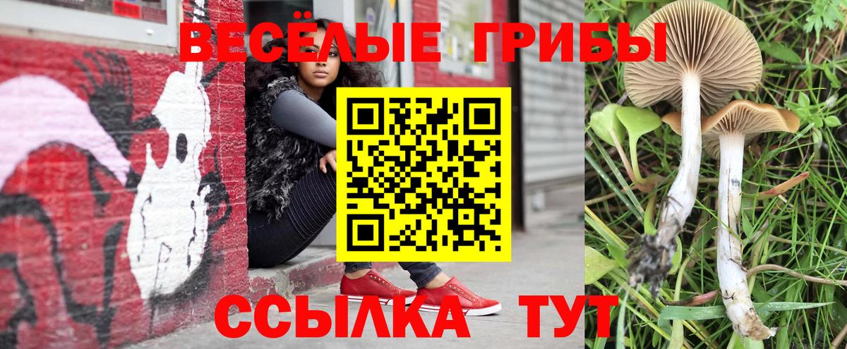 как найти закладки  Вход с VPN  Старая Купавна  Псилоцибиновые грибы мицелий 