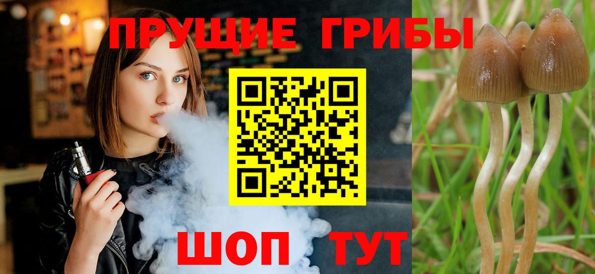Мефедрон кристаллы  Конопля  COCAIN  ГАШ  Старая Купавна  Вход с VPN 